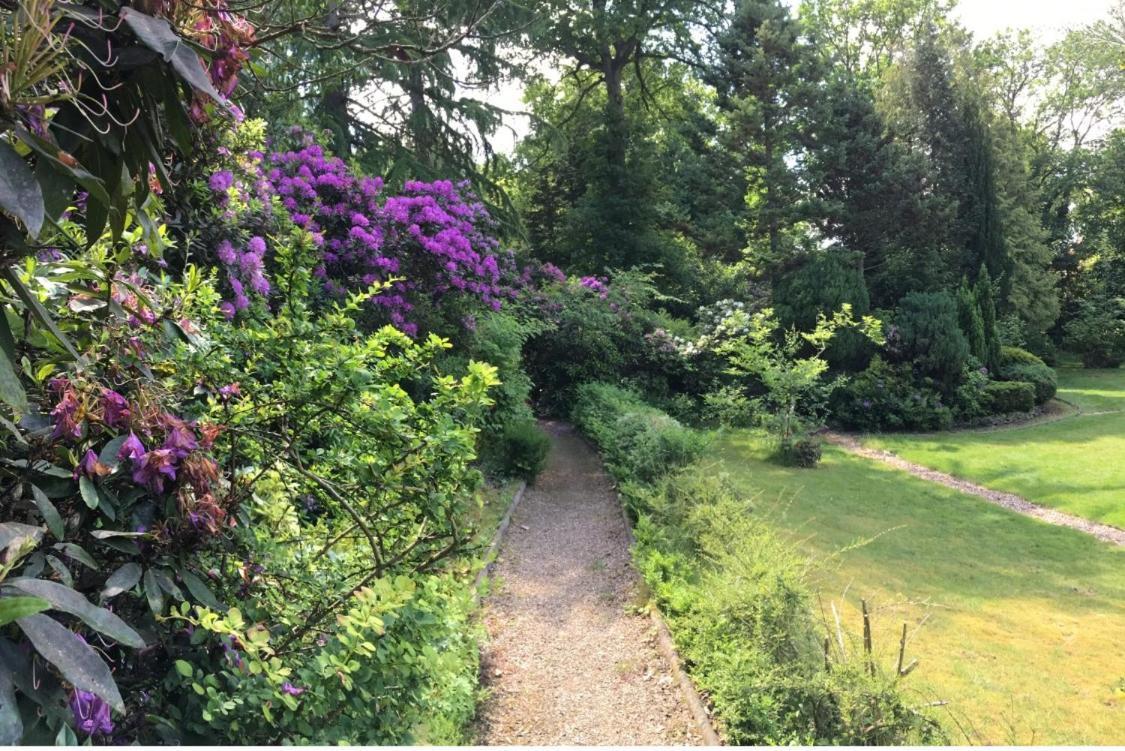 Coach House Villa Woking Bagian luar foto