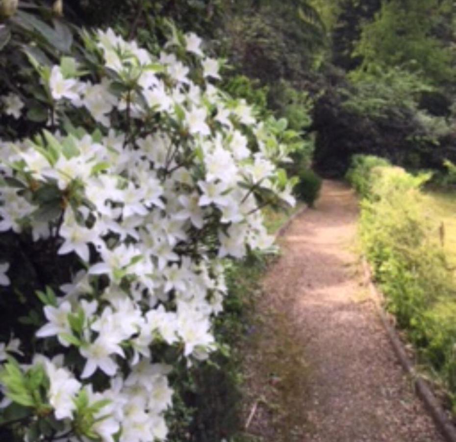 Coach House Villa Woking Bagian luar foto